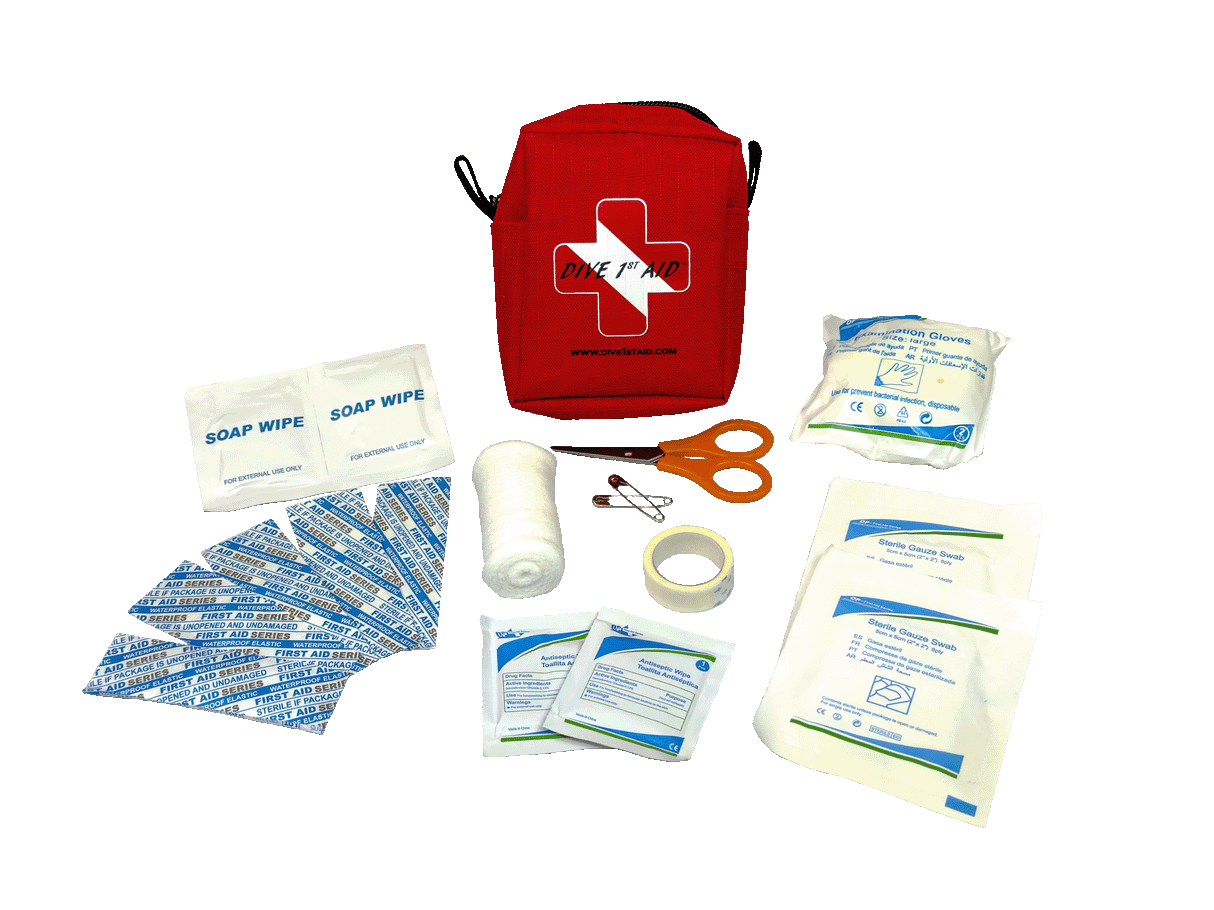 Mini First Aid Kit