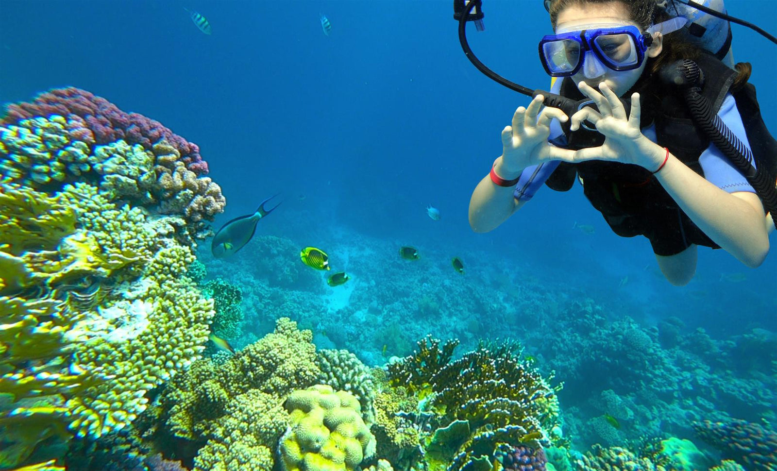 6 Best Kid-Friendly Dive Sites
